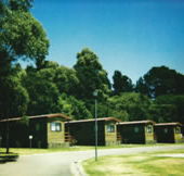 Katoomba Falls Caravan Park - Kawana Tourism