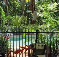 Daintree Rainforest Retreat Motel - Kawana Tourism