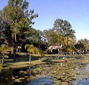 Twin Lakes Hotel - Kawana Tourism