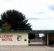 Millicent Motel - Kawana Tourism