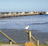 Seaview Motel and Holiday Units - Kawana Tourism