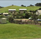 Ace Hi Riding Ranch - Kawana Tourism