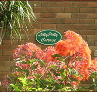 Lillypilly - Kawana Tourism