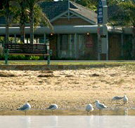 Best Western Coastal Waters Motor Inn - Kawana Tourism