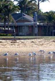 Best Western Coastal Waters Motor Inn - Kawana Tourism 2