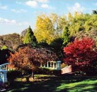 Edgelinks Bed And Breakfast - Kawana Tourism