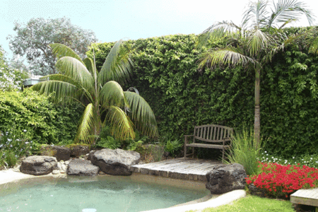 The Tropicana Motor Inn - Kawana Tourism 2