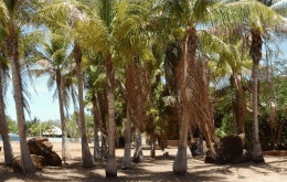 King Sound Resort Hotel - Kawana Tourism