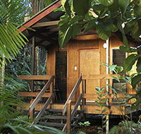 Cape Trib Beach House - Kawana Tourism