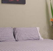 Stingo Hotel - Kawana Tourism