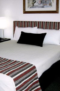 Cattle City Motor Inn - Kawana Tourism 1