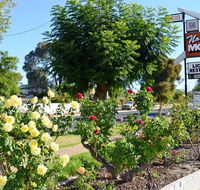 Narrogin Motel - Kawana Tourism
