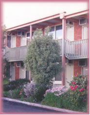  Kawana Tourism