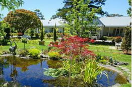  Kawana Tourism