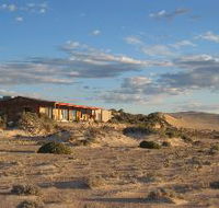 Tiliqua Sunrise - Kawana Tourism