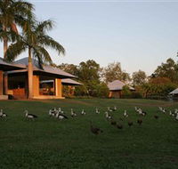 Feathers Sanctuary - Kawana Tourism