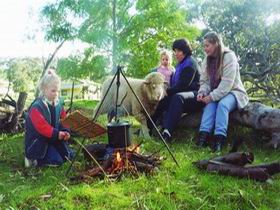Sleepy Hollow Farm Cottage - Kawana Tourism 0