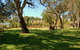 Jacobs Creek Retreat At Moorooroo Park - thumb 0