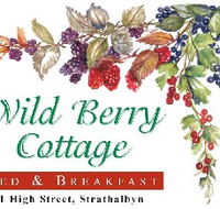 Wild Berry Cottage - Kawana Tourism