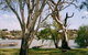 Shack 31 Bolto Reserve - thumb 0