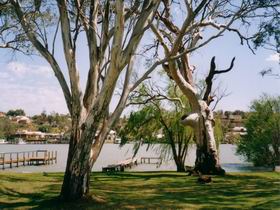 Shack 31 Bolto Reserve - Kawana Tourism 0
