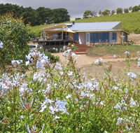 The Blue Grape Vineyard Accommodation - Kawana Tourism