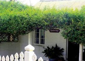 Peppertree Cottage Bed And Breakfast - Normanville - Kawana Tourism 1