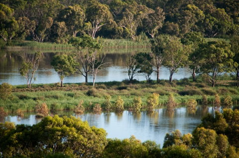 Riverview Rise Retreats - Kawana Tourism 4