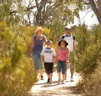 Long Island Caravan Park Cabins - Kawana Tourism