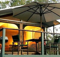 Jabiru Safari Lodge at Mareeba Wetlands - Kawana Tourism