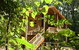 Rivers Edge Rainforest Retreat - thumb 0