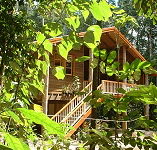 Rivers Edge Rainforest Retreat - Kawana Tourism