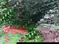 Rivers Edge Rainforest Retreat - Kawana Tourism 4