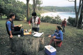 Fortescue Bay TAS Kawana Tourism