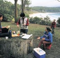Fortescue Bay Camping Ground - Kawana Tourism
