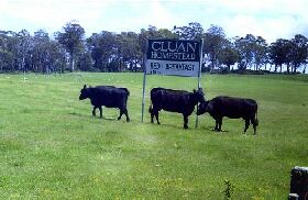  Kawana Tourism