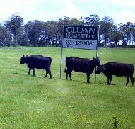Cluan Homestead - The Managers Residence - Kawana Tourism