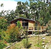 Southern Forest Accommodation - Kawana Tourism