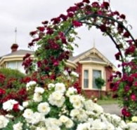 Golden Embers Apartments and B and B - Kawana Tourism