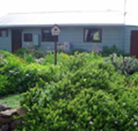 Engadine Cottage - Kawana Tourism