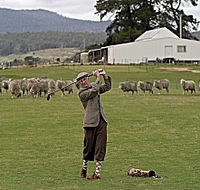 Park House Accommodation - Kawana Tourism