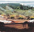 Morella Island Retreats P/L - Kawana Tourism