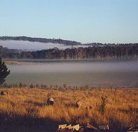 Fonthill - Kawana Tourism