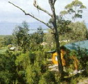 Partridge Farm - Kawana Tourism