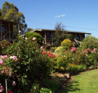Mole Creek Holiday Village - Kawana Tourism