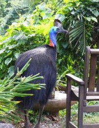 Sanctuary Retreat - Kawana Tourism 2