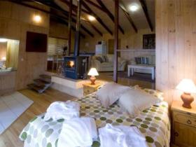 Treetops Seaview Montville - Kawana Tourism 0