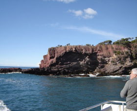 Art On Hart - Kawana Tourism 0