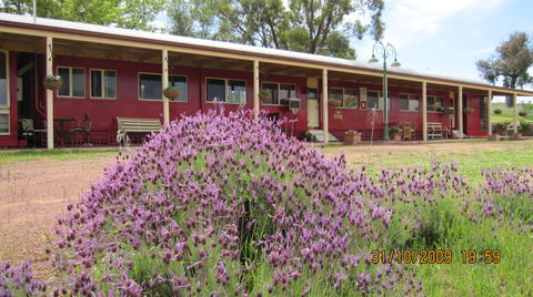 Last Stop Ambledown Brook - Kawana Tourism 3