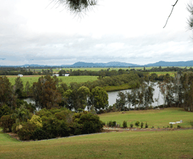 Bimbimbi Riverside Caravan Park - Kawana Tourism